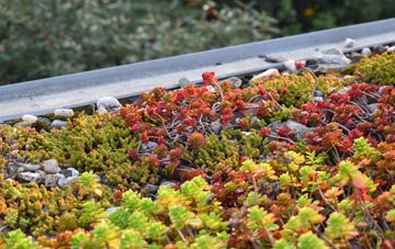 the cost of Rosehall green roof installation