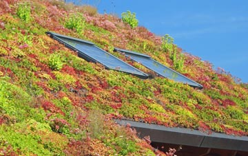Rosehall living roof systems