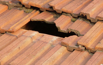 roof repair Rosehall