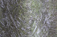 Rosehall fibreglass roof work